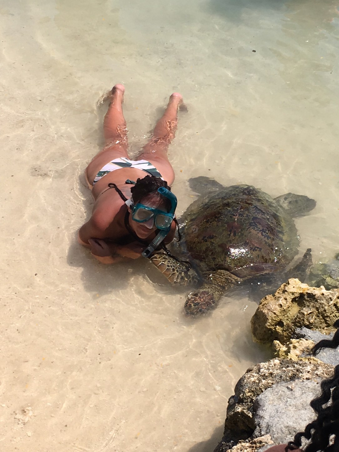 Swimming with turtle Port Vila